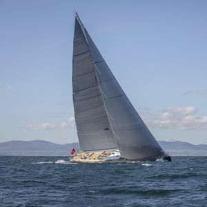 vela mayor