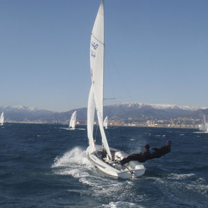 spinnaker