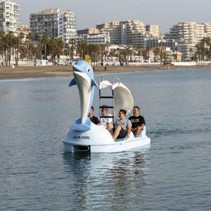 Hidropedal para 4 personas 1