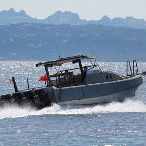 runabout fueraborda