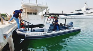 barco profesional barco de pesca profesional 1