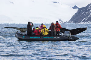 barco utilitario