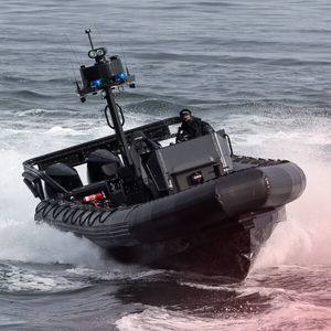 barco profesional intraborda 1
