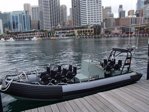 barco profesional intraborda