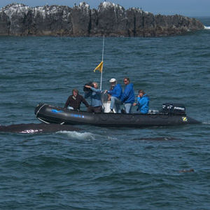 embarcación neumática fueraborda / semirrígida / plegable / de buceo