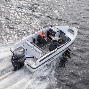 runabout fueraborda