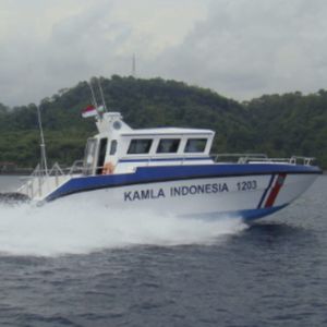 barco profesional barco de vigilancia / catamarán / diésel / fueraborda