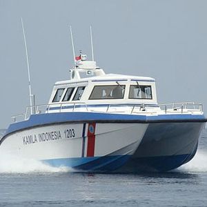 barco de vigilancia / catamarán / fueraborda