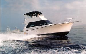 barco cabinado intraborda 1