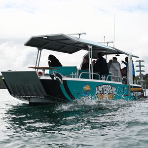 barco profesional barco de pasajeros 1