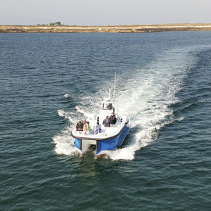 barco profesional barco de pasajeros