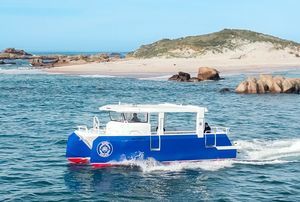 barco profesional embarcación de apoyo al buceo 1