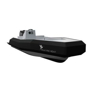 barco profesional barco de vigilancia 1