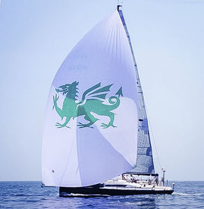 spinnaker asimétrico 1