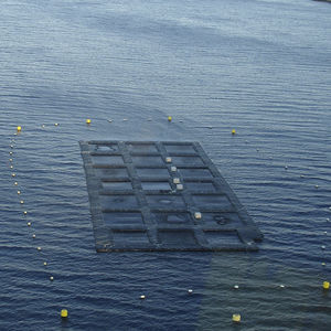 pantalán flotante