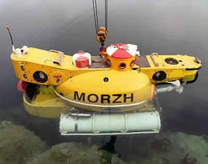 submarino de uso profesional 1