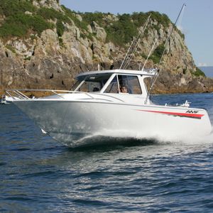 cabin-cruiser fueraborda 1