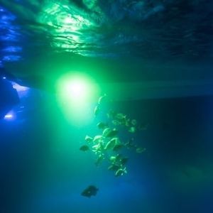iluminación subacuática para barco
