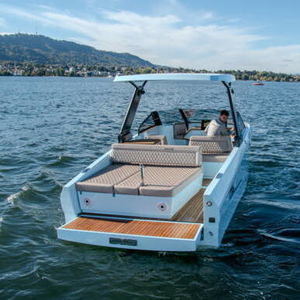 day-cruiser gasolina