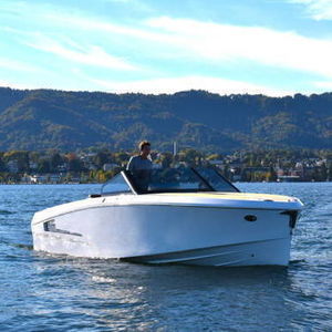 cabin-cruiser fueraborda 1