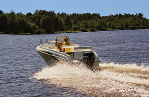 day-cruiser fueraborda