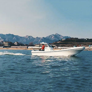 barco profesional barco de pesca profesional