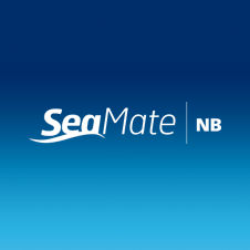 recubrimiento antifouling para barco profesional