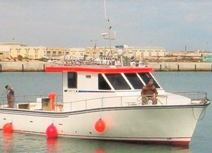 barco profesional barco de pasajeros 1