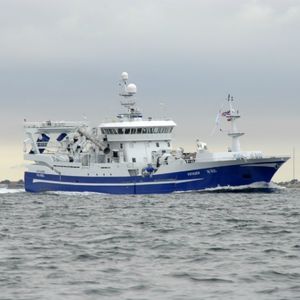 buque de pesca profesional arrastrero 1