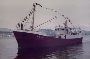buque de pesca profesional arrastrero