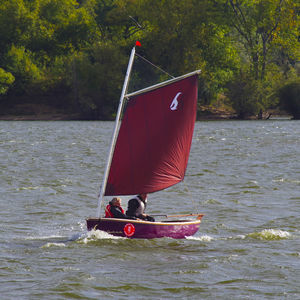 velero clásico