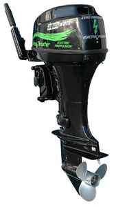 motor fueraborda