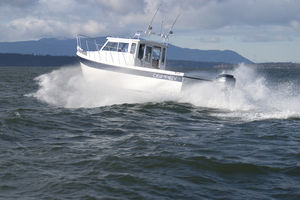barco de motor de pesca-paseo fueraborda