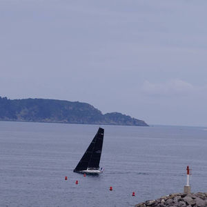 velero de regata