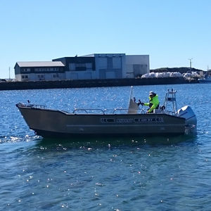barco profesional barco utilitario