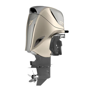 motor fueraborda 1