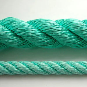 amarra 1