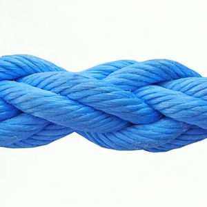 amarra 1