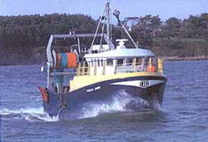 barco profesional arrastrero 1