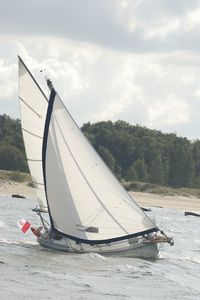 velero de crucero