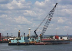 draga 1