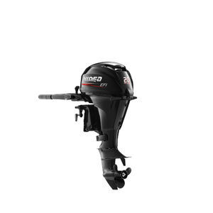 motor fueraborda 1