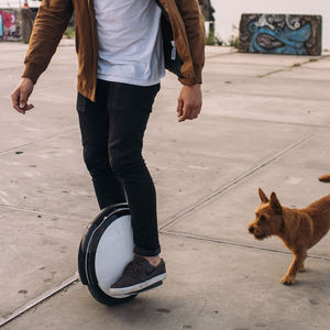 transportador personal