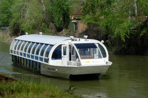 barco profesional barco turístico 1