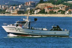 barco de pesca profesional