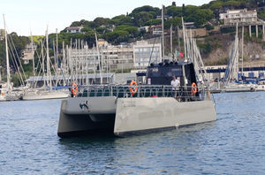 barco profesional barco de pasajeros