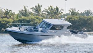 barco de vigilancia