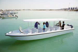 barco de pasajeros