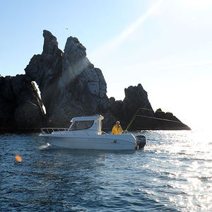 cabin-cruiser fueraborda / con caseta de timón / de pesca / 8 personas máx.