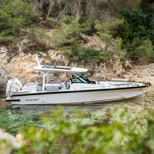 cabin-cruiser fueraborda 1